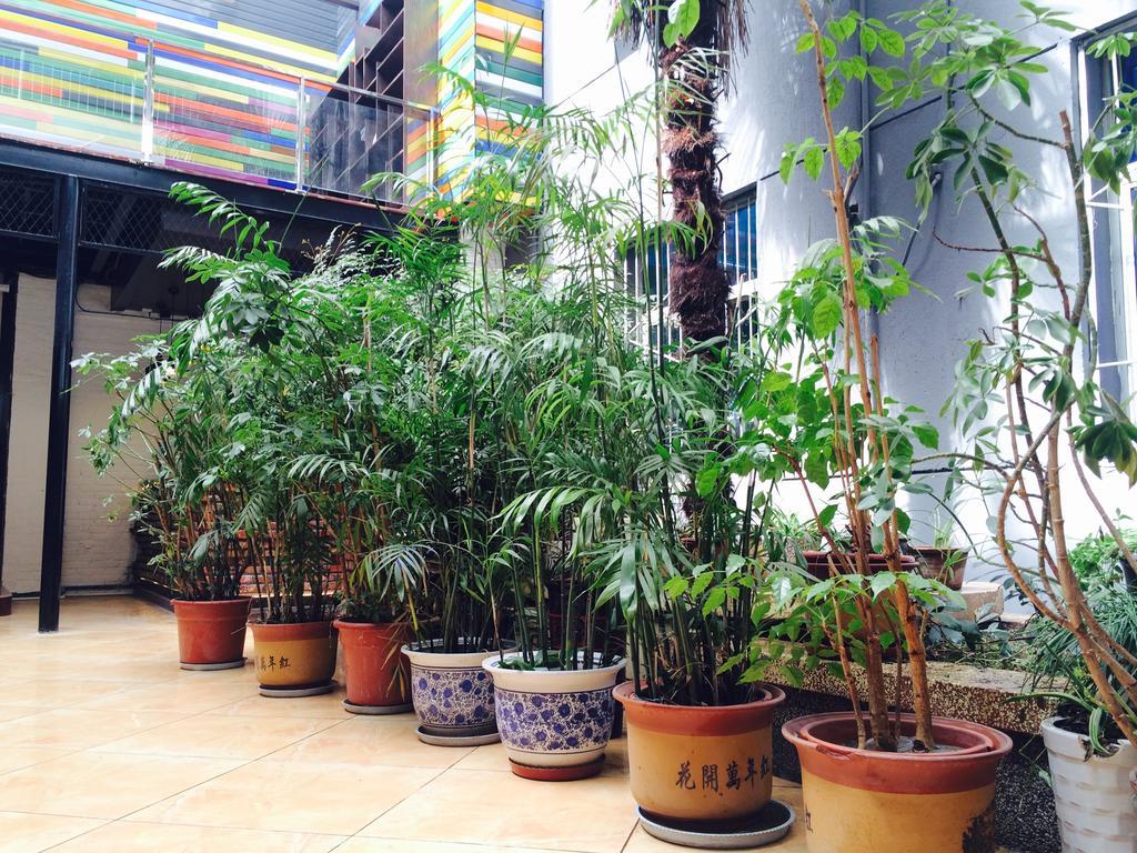 Xi'An Rainbow Youth Hotel Экстерьер фото